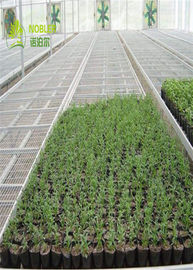 Το υδροπονικό θερμοκήπιο σποροφύτων δίσκων αυξάνεται τα κρεβάτια για το φυτώριο/το λαχανικό εγκαταστάσεων
