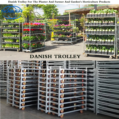 Καρότσι λουλουδιών Danish Flower Galvanized Cc Container Plywood Cart