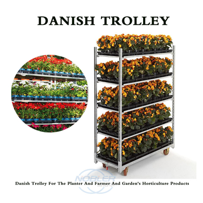 Κόντρα πλακέ Danish Flower Rack Cart Cart Container CC Εύκολη εγκατάσταση