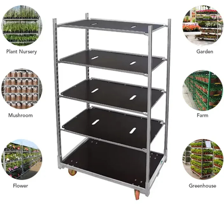 Αμαξίδια Δανίας με επίστρωση πούδρας για φύτευση λουλουδιών σε θερμοκήπια