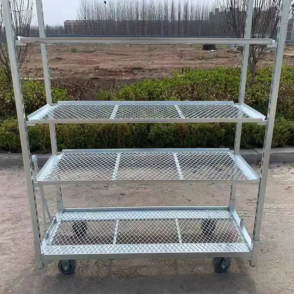 Ζεστό ζαλβάνιση PP Caster 1350*565mm Γεωργικές Φυτικές Φυτικές Καρότσες Δανικές Καρότσες για Φυτέλλειψη στο θερμοκήπιο